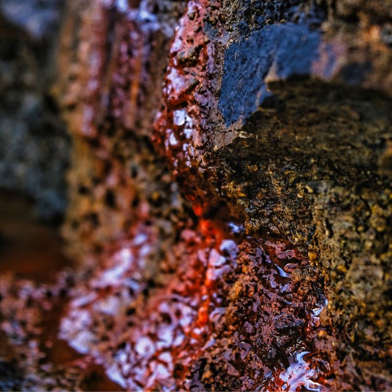 sangue di drago