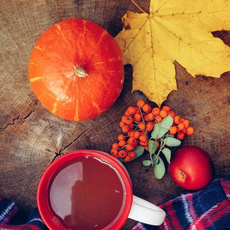 detox: dieta purificante